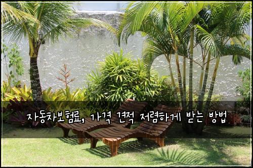 자동차보험료, 가격 견적 저렴하게 받는 방법