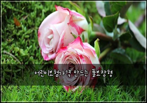 어린이보험가격 만드는 풀보장형