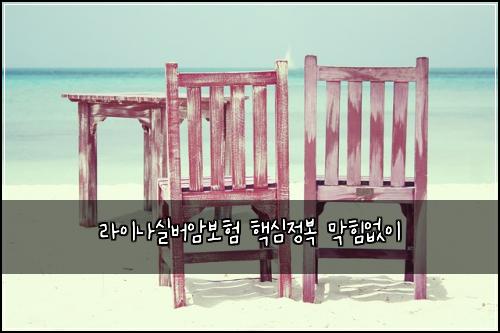 라이나실버암보험 핵심정복  막힘없이