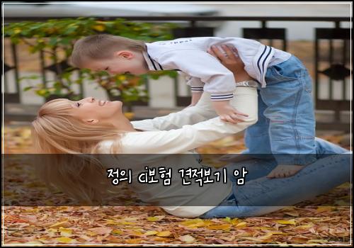 정의 ci보험 견적보기  암