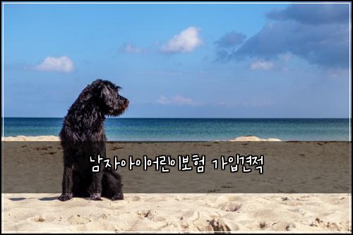 남자아이어린이보험 가입견적 