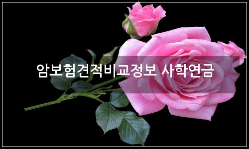 오늘의 이미지