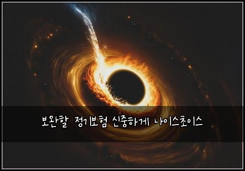 보완할 정기보험 신중하게  나이스초이스