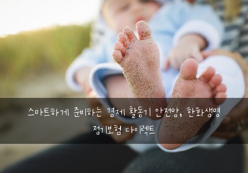  스마트하게 준비하는 경제 활동기 안전망, 한화생명 정기보험 다이렉트