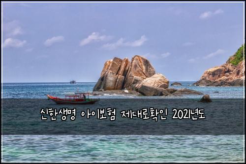 신한생명 아이보험 제대로확인  2021년도