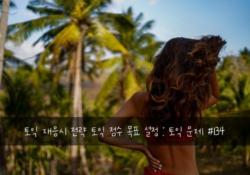 토익 재응시 전략 토익 점수 목표 설정 : 토익 문제 #134