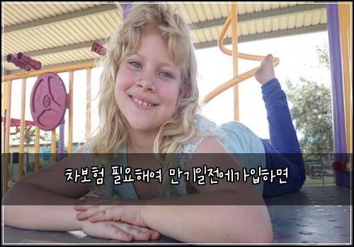 차보ν νμν΄μ¬ λ§κΈ°μΌμ μκ°μ
νλ©΄