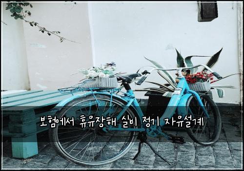 보험에서 휴유장해 실비 정기 자유설계