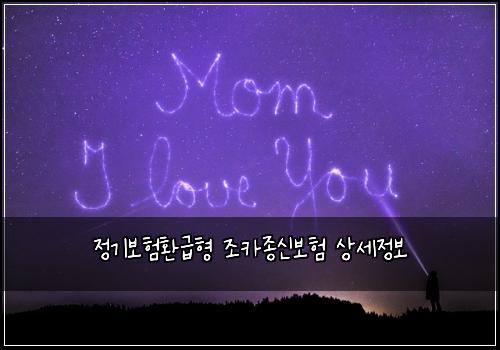정기보험환급형 조카종신보험 상세정보
