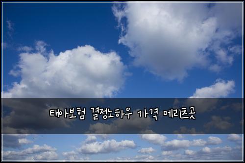태아보험 결정노하우  가격 메리츠곳