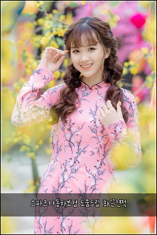스파크자동차보험 도움드림  화끈견적