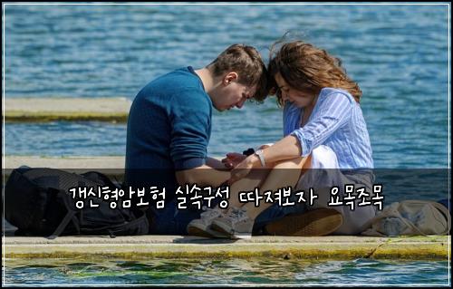 갱신형암보험 실속구성  따져보자 요목조목