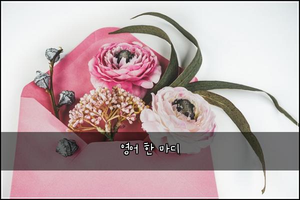 영어 한 마디