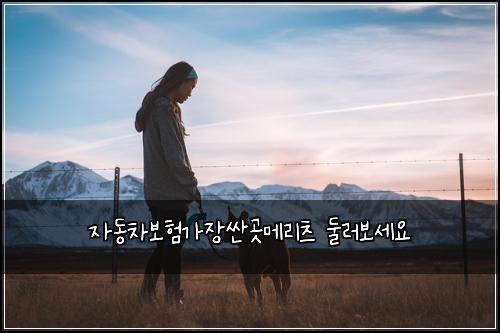 자동차보험가장싼곳메리츠 둘러보세요