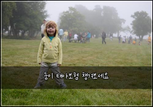 둥이 태아보험 챙겨보세요 