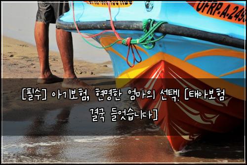  [필수] 아기보험, 현명한 엄마의 선택! [태아보험 결국 들엇습니다]