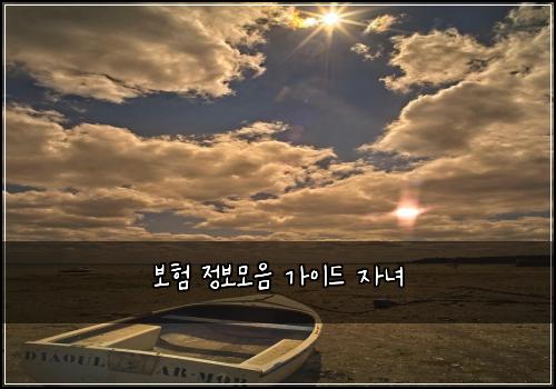 보험 정보모음  가이드 자녀