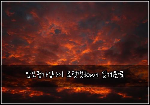 암보험가입나이 요령껏down 설계완료