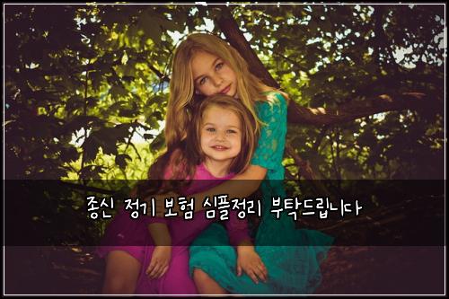 종신 정기 보험 심플정리  부탁드립니다