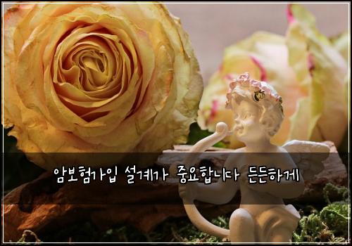 암보험가입 설계가 중요합니다 든든하게