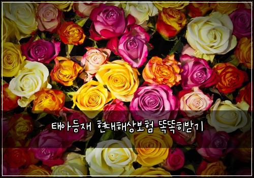 태아등재 현대해상보험 똑똑히받기 