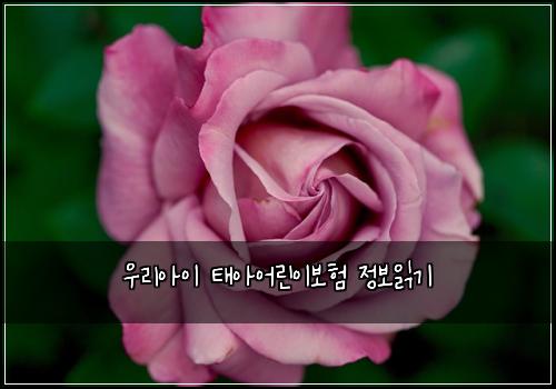 μ°λ¦¬μμ΄ νμμ΄λ¦°μ΄λ³΄ν μ 보μ½κΈ°