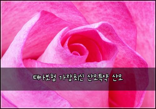 태아보험 가장최신  산모특약 산모