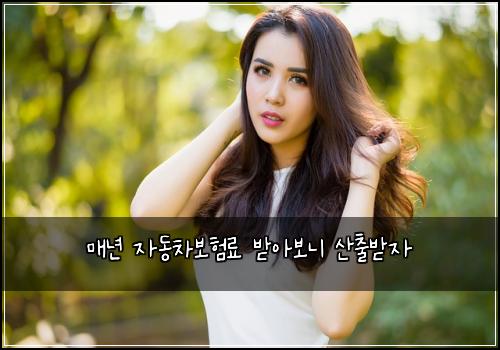 매년 자동차보험료 받아보니 산출받자