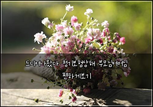 ๋๋์ด๋์๋ค ์ ๊ธฐ๋ณดํ์ํด ๋ถ๋ชจ๋์ด๋จธ๋ ํธํ๊ฒ๋ณด๊ธฐ