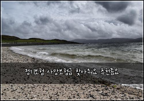 정기보험 사망보험금 찾아줘요 추천좀요