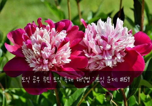 토익 공부 루틴 토익 독해 해석법 : 토익 문제 #159