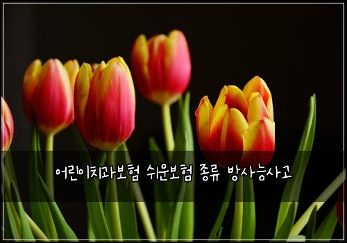 어린이치과보험 쉬운보험  종류 방사능사고
