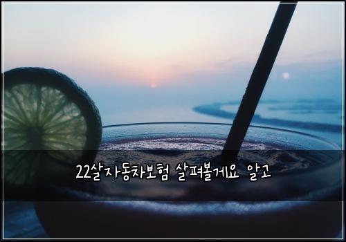 22살자동차보험 살펴볼게요  알고