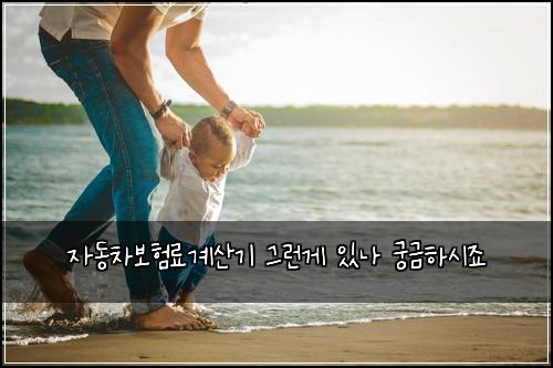 자동차보험료계산기 그런게 있나 궁금하시죠