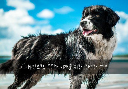 아이들암보험, 든든한 미래를 위한 현명한 선택