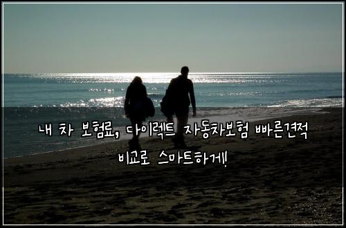  내 차 보험료, 다이렉트 자동차보험 빠른견적 비교로 스마트하게!