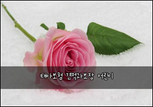 태아보험 견적과보장  어린이