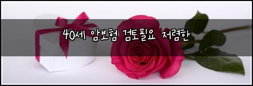 40세 암보험 검토필요  저렴한
