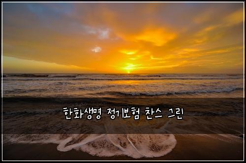 한화생명 정기보험 찬스  그린