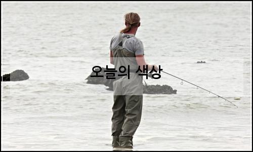 오늘의 이미지