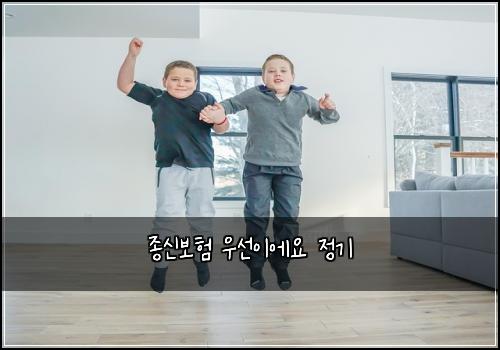 종신보험 우선이에요  정기