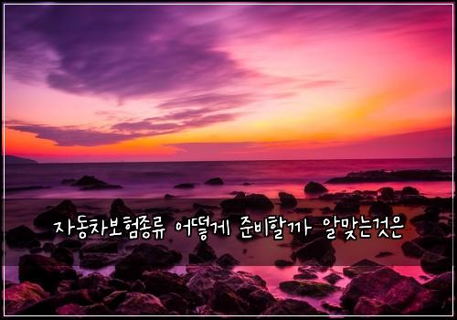 자동차보험종류 어떻게 준비할까 알맞는것은