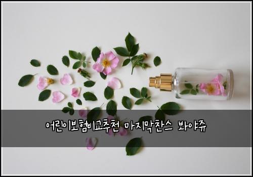 어린이보험비교추천 마지막찬스 봐야쥬