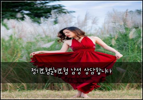 정기보험실비보험 남성 상담합니다
