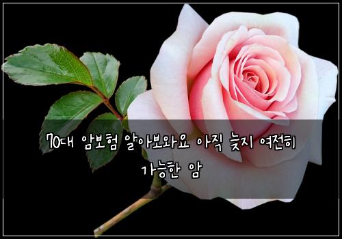 70대 암보험 알아보와요  아직 늦지 여전히 가능한 암