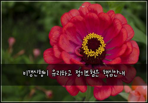 ๋น๊ฐฑ์ ํ์ด ์ ๋ฆฌํ๊ณ ์ ๊ธฐ๋ณดํ์ ํต์ฌ์๋ด