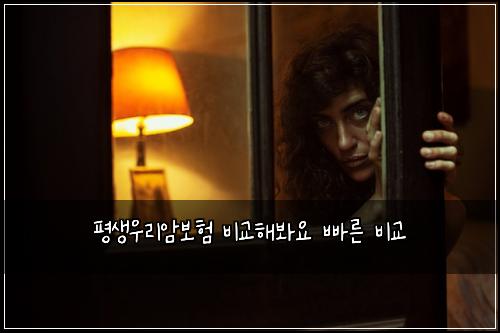 평생우리암보험 비교해봐요  빠른 비교