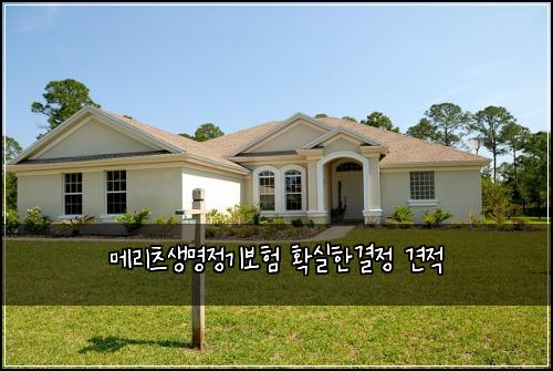메리츠생명정기보험 확실한결정  견적
