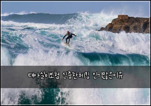 태아실비보험 신중한체킹  인기많은이유