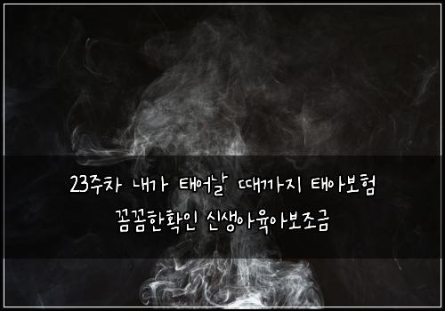 23주차 내가 태어날 때까지 태아보험 꼼꼼한확인  신생아육아보조금